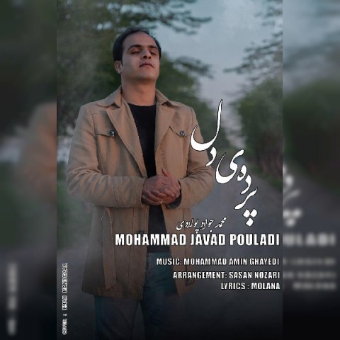 محمد جواد پولادی پرده ی دل